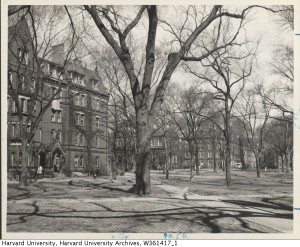 Harvard Yard 1930.  Time stands still.